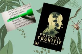 Frisson cognitif : du cosy mystery made in 65