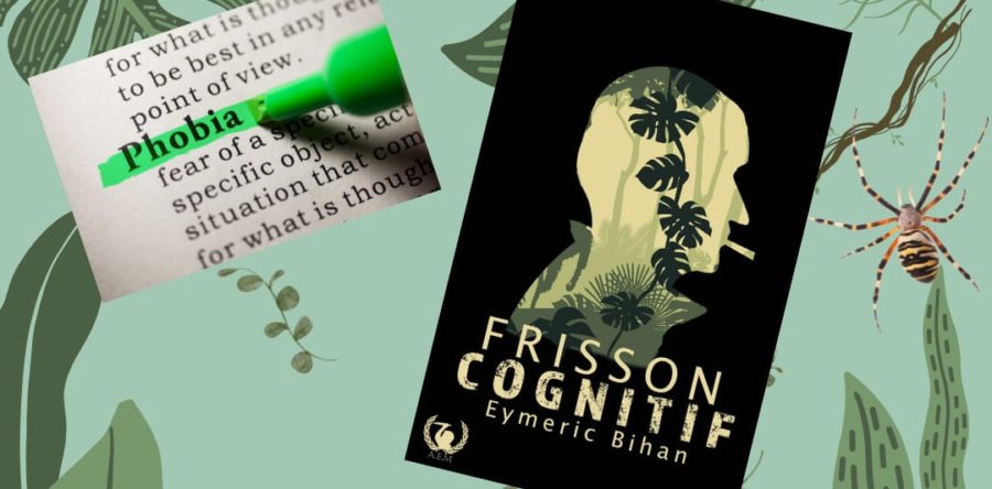 Frisson cognitif : du cosy mystery made in 65