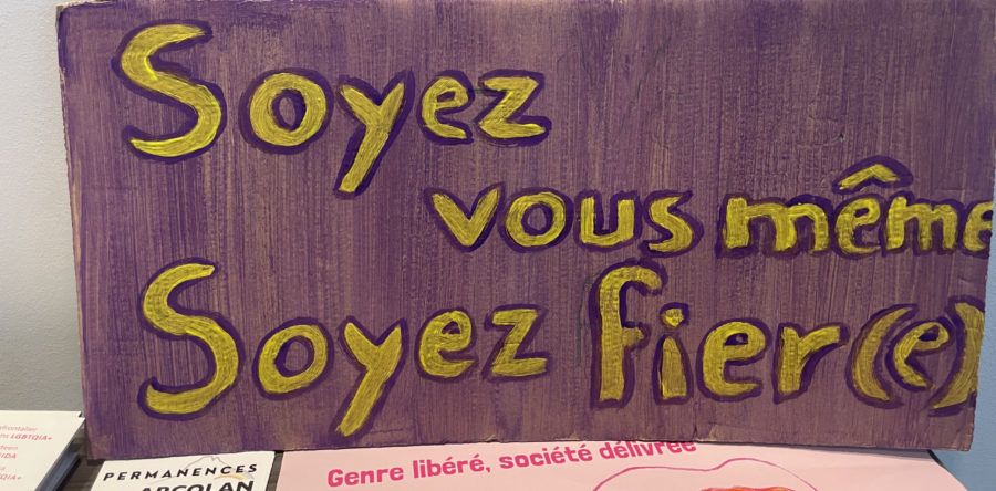” Les joies des prides sont à la hauteur des violences qu’on peut vivre dans la société.”