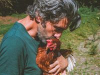 L’Arche de Ringo, refuge pour animaux en péril